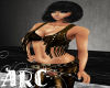 ARC Brown Vest