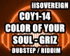 Color Of Your Soul Griz