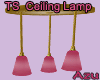 TS Modern Ceiling Lamp