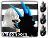 .: Black Dragon Claw:. 