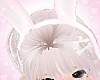 ♡ bunny ♡