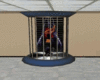 Wall dancing cage