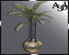 A3D*Turkish Pot Palm1