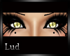 [Lud]Feline Gold Eyes