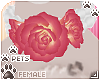 [Pets] Reni |rose choker