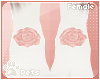 [Pets]Clessa|ankle roses