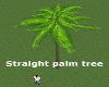 !ASW straight palm tree