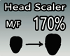 Scaler Head 170% M/F