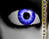 [D] Crystal Eyes:Blue