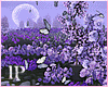Purple Flowers Field PR