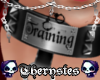 [Thery] Training collar