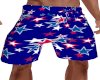 4th Of July Beach Shorts