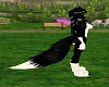 Border Collie Tail V1