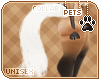[Pets] Phar | tail v8