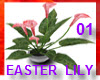 Easter Lily Plant 01