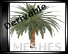^DM^Palm Tree