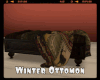 *Winter Ottomon