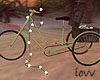 Iv•Vintage Bike