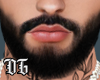 OG - Asteri XV Beard