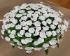 White Rose Planter