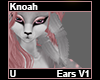 Knaoh Ears V1