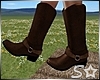 S* Cowboy Boots