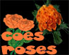 Coes Roses