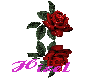 Roses 4 U