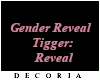GenderReveal Confetti