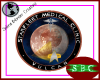 Vulcan SFM Clinic Logo