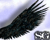 Black Bird Wings