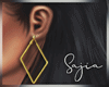 S! Gold Earrings