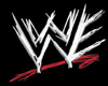 WWE bleachers