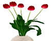 Darling Tulips on Vase