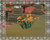 garden flower