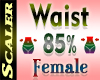 Waist Resizer 85%