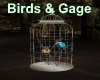 [BD]Birds&Gage
