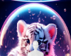 Kitty glass background 