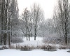 winterwonderland 1