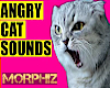 M - ANGRY CAT VOICEBOX