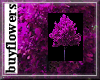 pink tree