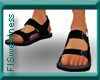 FLS Sandals - Black