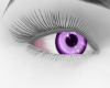 Soft Lilac