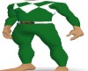 Dragon Ranger Bodysuit