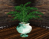 Potted Palm Decor
