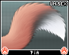 【Vulpes | Tail】