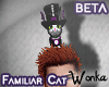 W° Familiar Cat 🐱 M
