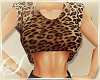 Leopard Crop Outfit