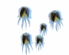 jellyfish sofa animated