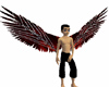 M/F Bejeweled Wings